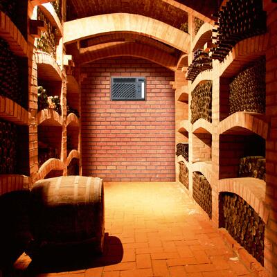 Immagine del prodotto per 'Condizionatore vino WINE C50X/ fino a 50 m�'