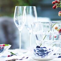 Immagine del prodotto per 'Bicchiere da champagne SUPREME, set di 4 (11,85 EUR/bicchiere)'